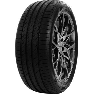 Anvelopa vara Delinte DS2 SUV 225/55R18 102W