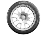 Anvelopa iarna CONTINENTAL ContiWinterContact TS 830 P 285/30R19 98V - imagine 1