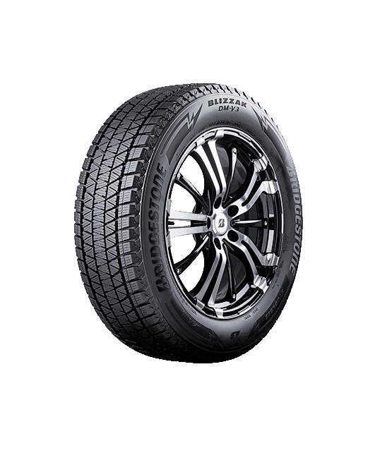 Anvelopa iarna BRIDGESTONE BLIZZAK DM-V3 255/50R20 109T
