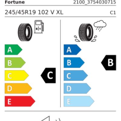 Anvelopa Iarna FORTUNE NIVALIS WINTER PRO 245/45R19 102V