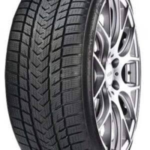 Anvelopa iarna GRIPMAX PRO WINTER 315/30R22 107V XL