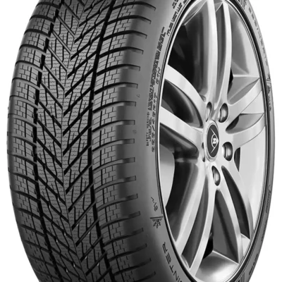 Anvelopa Iarna DUNLOP WINTER 205/55R17 95V