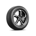 BFGoodrich Advantage